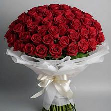 Букет 101 Красная роза Блэк Мэджик в Гурийской