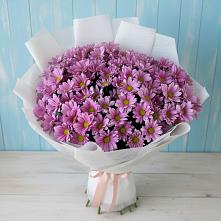 Букет цветов из:  Хризантемы в Гурийской
