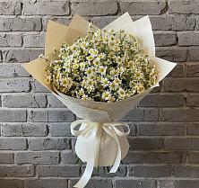 Букет цветов из:  Ромашки #REPLACE_PRED# Гурийской