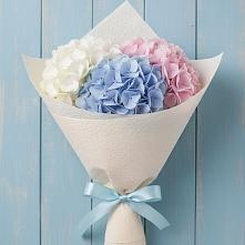 Букет цветов из:  Гортензия в Гурийской