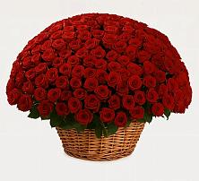 Премиум букет из: Розы в Гурийской